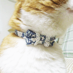 네코다-리본형 고양이,강아지 목걸이