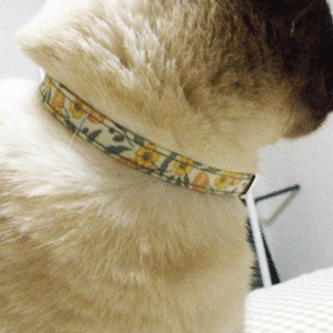 네코다 비리본형 강아지 고양이 목걸이